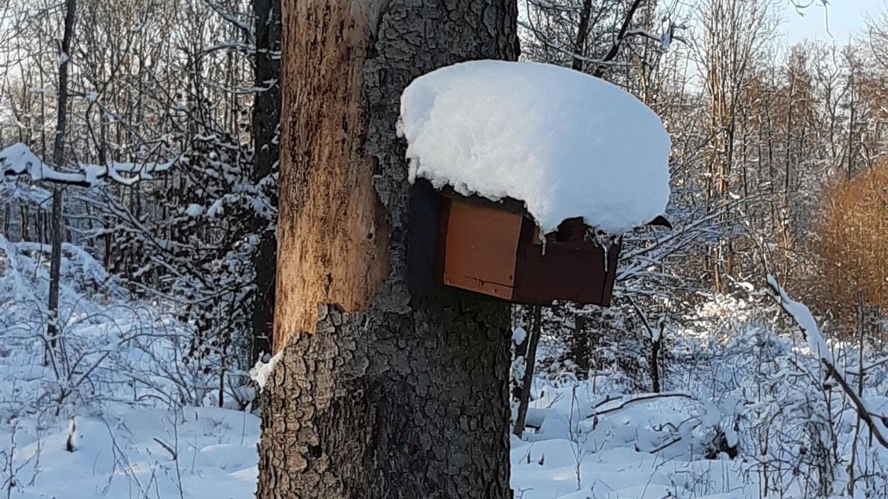 Winterimpression Winterimpression